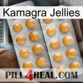 Kamagra Jellies levitra2